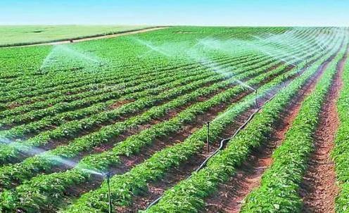 今天找个大鸡巴操逼视频农田高 效节水灌溉